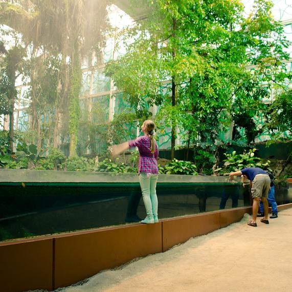 CosmoCaixa CosmoCaixa
