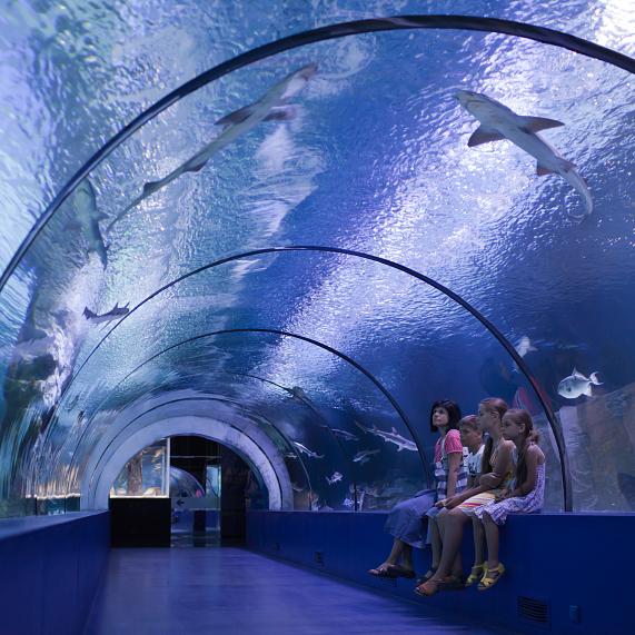 Aquarium Aquarium